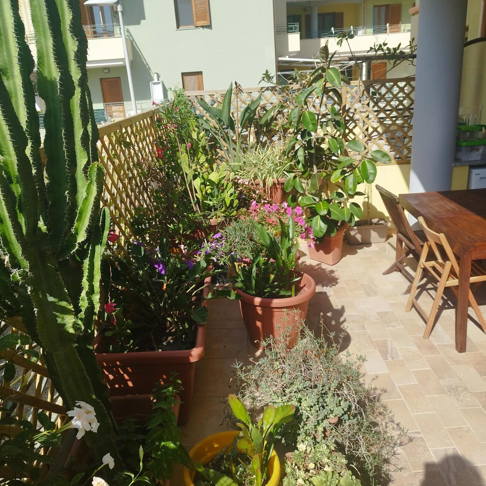 Alghero Lovely Flat Apartment Exterior photo